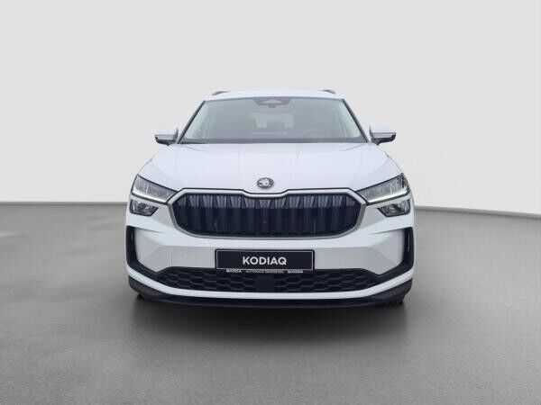 Skoda Kodiaq 2.0 TDI 4x4 Selection StHzg Kamera Navi