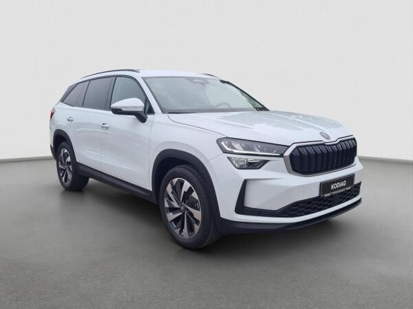 Skoda Kodiaq 2.0 TDI 4x4 Selection StHzg Kamera Navi