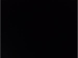 Seat Ibiza FR 1.5 TSI DSG LED Kamera Virtual Navi