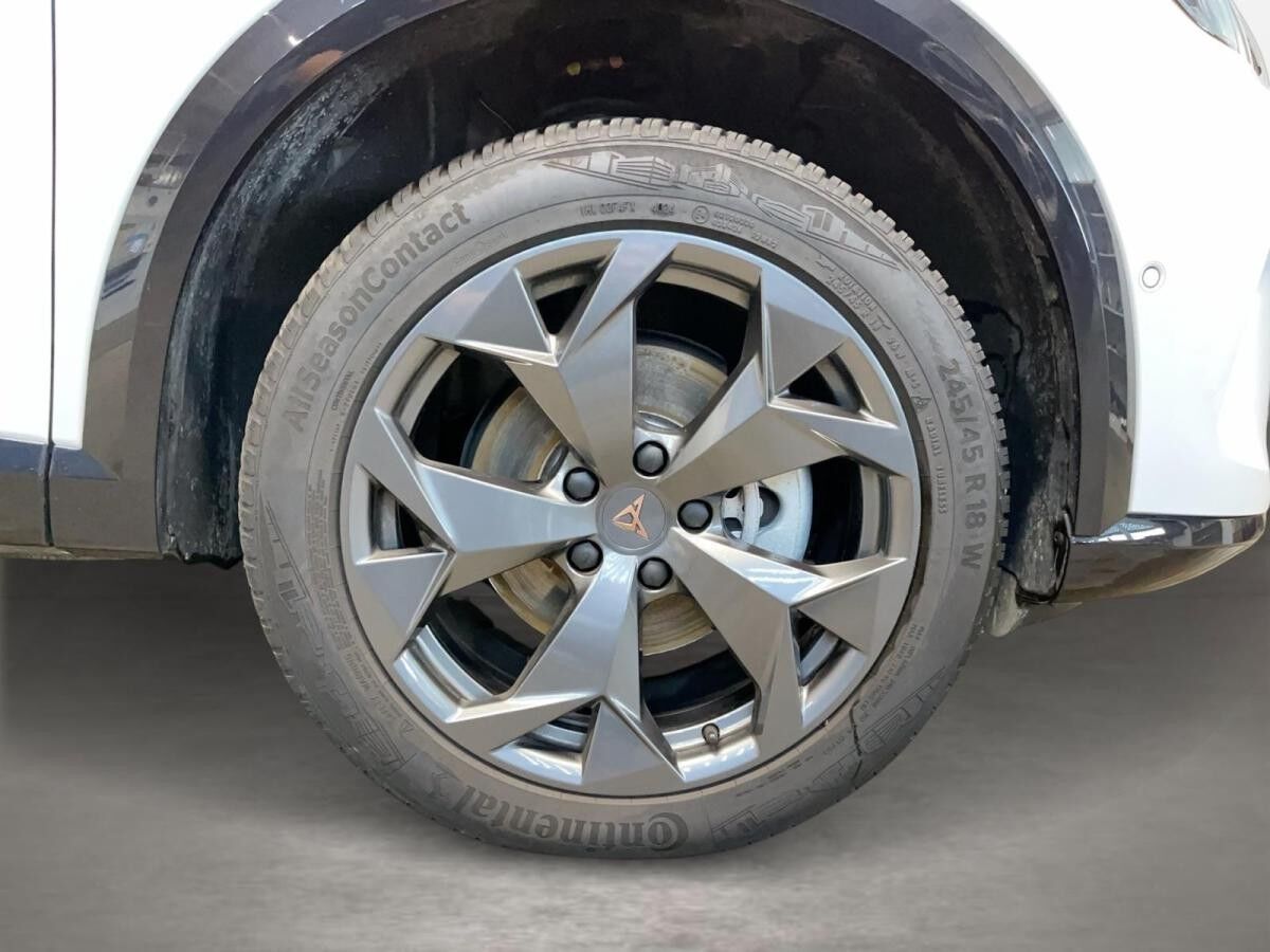 Cupra Formentor 2.0 TDI DSG AUT DynLicht Fernlichtass.