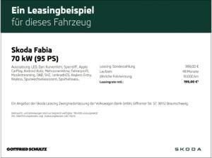 Skoda Fabia Selection 1.0 TSI 95 PS 5-Gang ⚡Privatleasing⚡(Neuss)