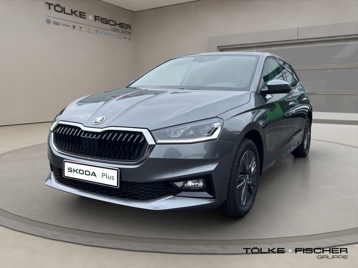 Skoda Fabia Tour SOFORT VERFÜGBAR! ACC Kamera DynLicht LM