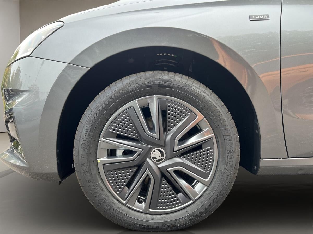 Skoda Fabia Tour SOFORT VERFÜGBAR! ACC Kamera DynLicht LM
