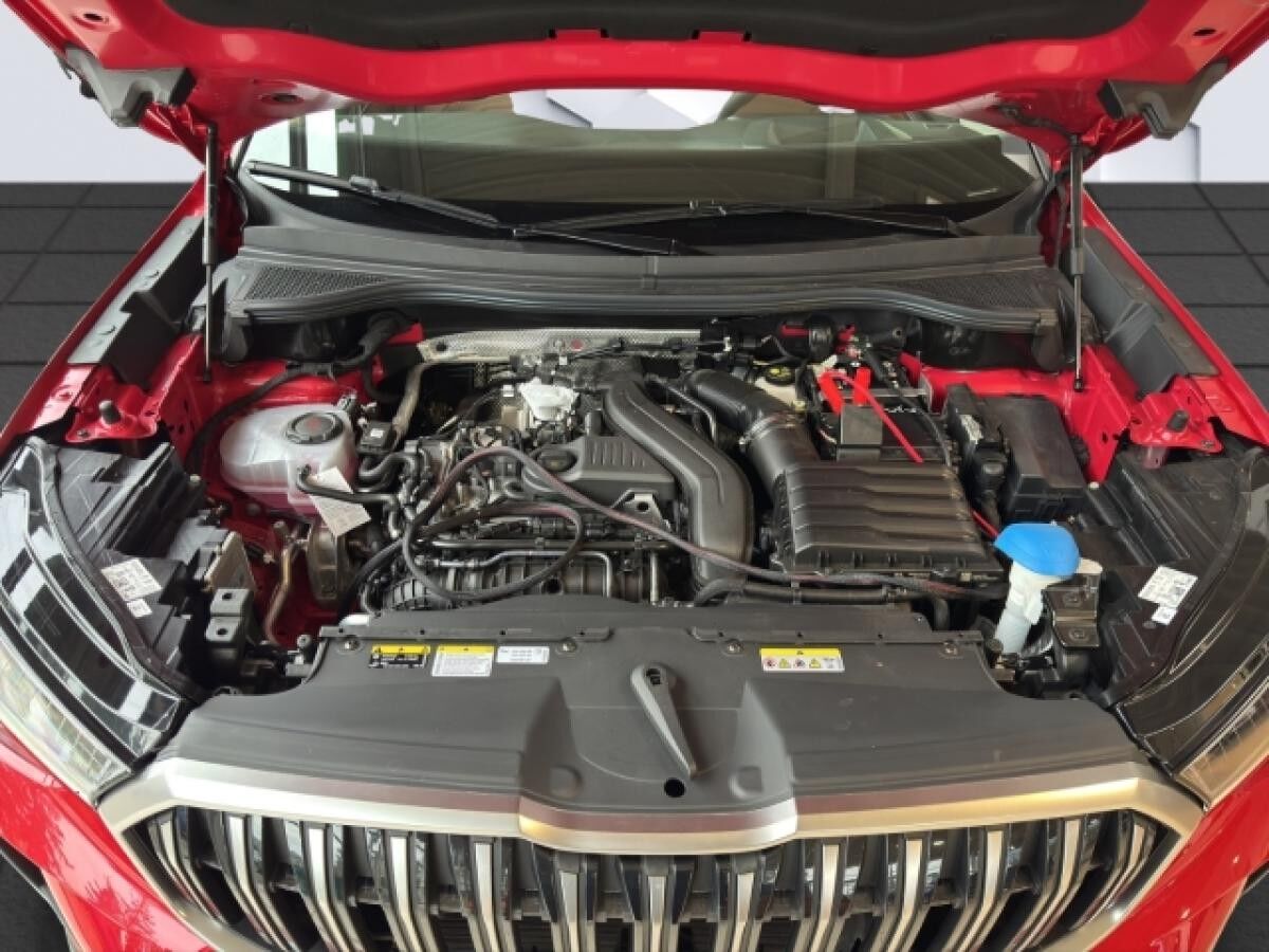 Skoda Kodiaq 1.5 TSI mHEV 110kW Selection -Sofort Verfügbar-