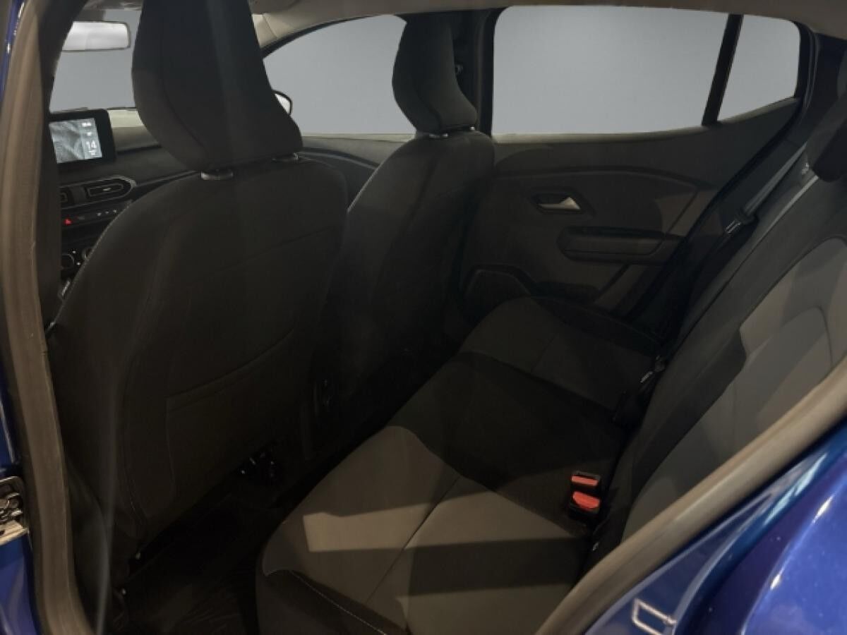 Dacia Sandero Stepway Extreme TCe 110 Winterräder + Wartung