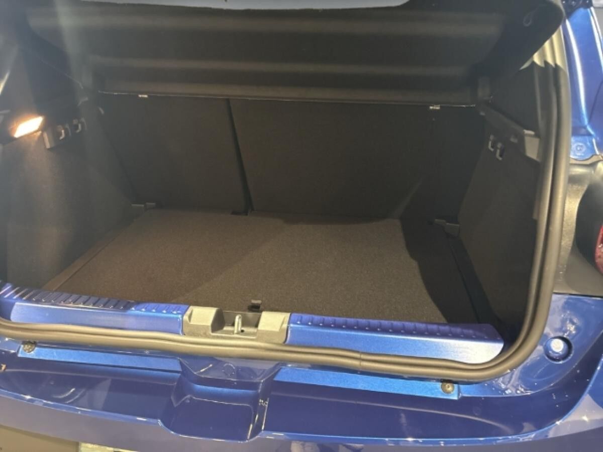 Dacia Sandero Stepway Extreme TCe 110 Winterräder + Wartung