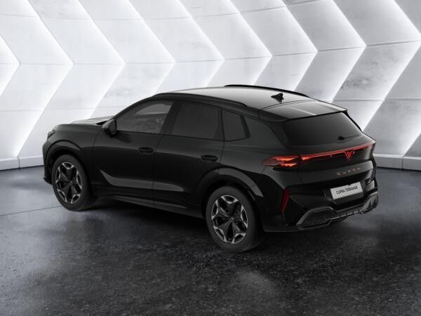 Cupra Terramar VZ 2.0 TSI 4Drive - LED MATRIX-LED 360° *SN607*