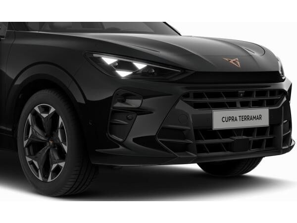 Cupra Terramar VZ 2.0 TSI 4Drive - LED MATRIX-LED 360° *SN607*