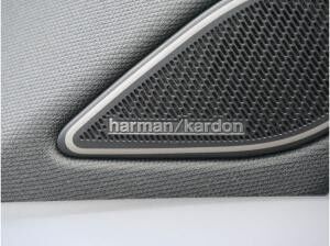 Volkswagen Tayron R-Line 2,0 l TDI SCR 4MOTION 7-Gang-Doppelkupplungsgetriebe DSG