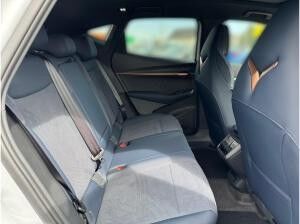 Cupra Tavascan VZ 4Drive 77kWh *AdrenalinePack*BelowZeroPack*