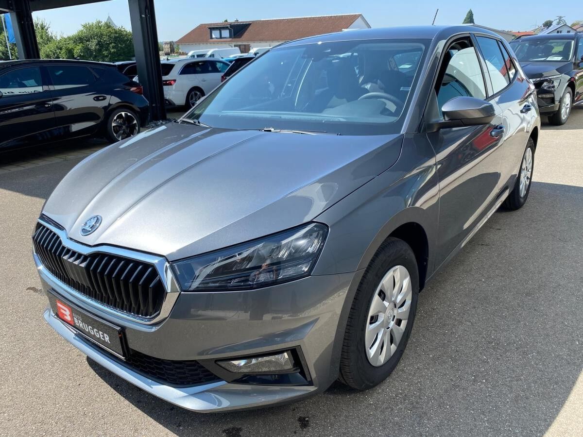 Skoda Fabia 1.0 TSI Selection KLIMA PDC DAB+ CAR-PLAY