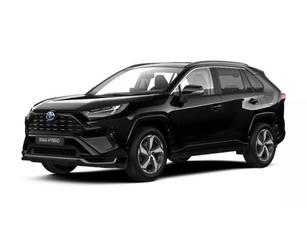 Toyota RAV 4 2.0l Plug-In Teamplayer