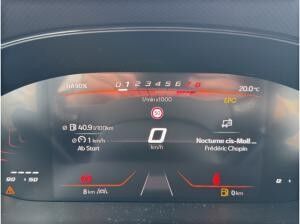 Seat Ibiza Road Edition *SOFORT VERFÜGBAR*