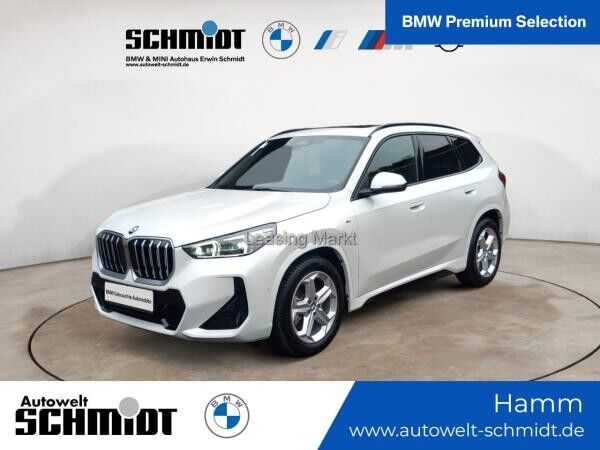 BMW X1 xDrive23d Steptronic M Sportpaket Panorama