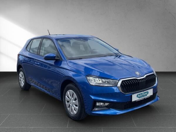 Skoda Fabia 1.0 TSI **GEWERBE**SOFORT** l DAB l LED l SHZ l PDChi l KLIMA l