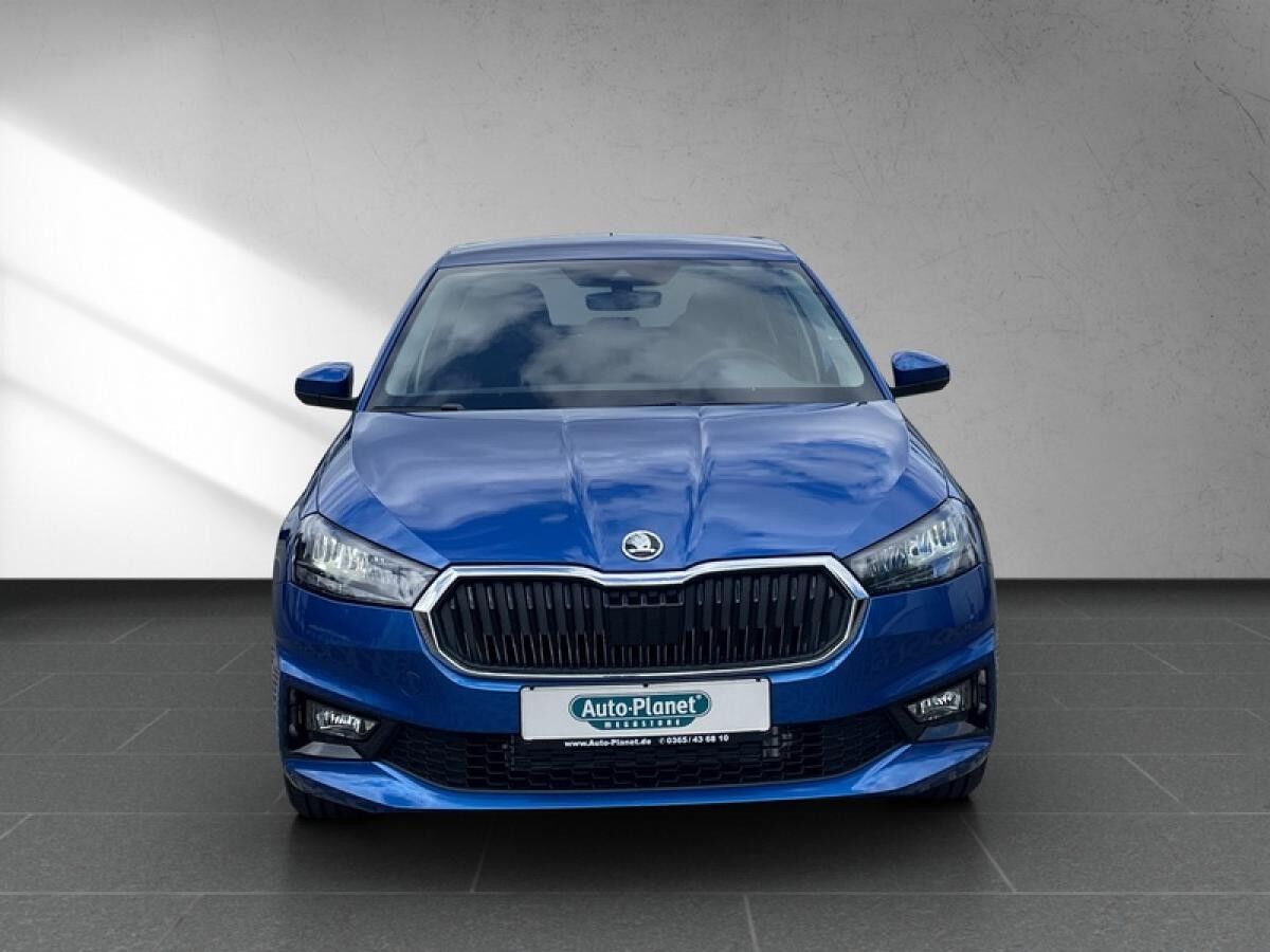 Skoda Fabia 1.0 TSI **PRIVAT**SOFORT** l DAB l LED l SHZ l PDChi l KLIMA l