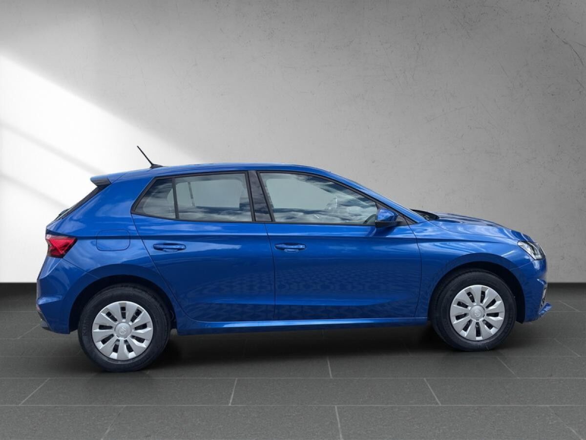 Skoda Fabia 1.0 TSI **PRIVAT**SOFORT** l DAB l LED l SHZ l PDChi l KLIMA l