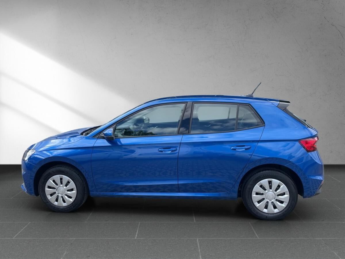 Skoda Fabia 1.0 TSI **PRIVAT**SOFORT** l DAB l LED l SHZ l PDChi l KLIMA l