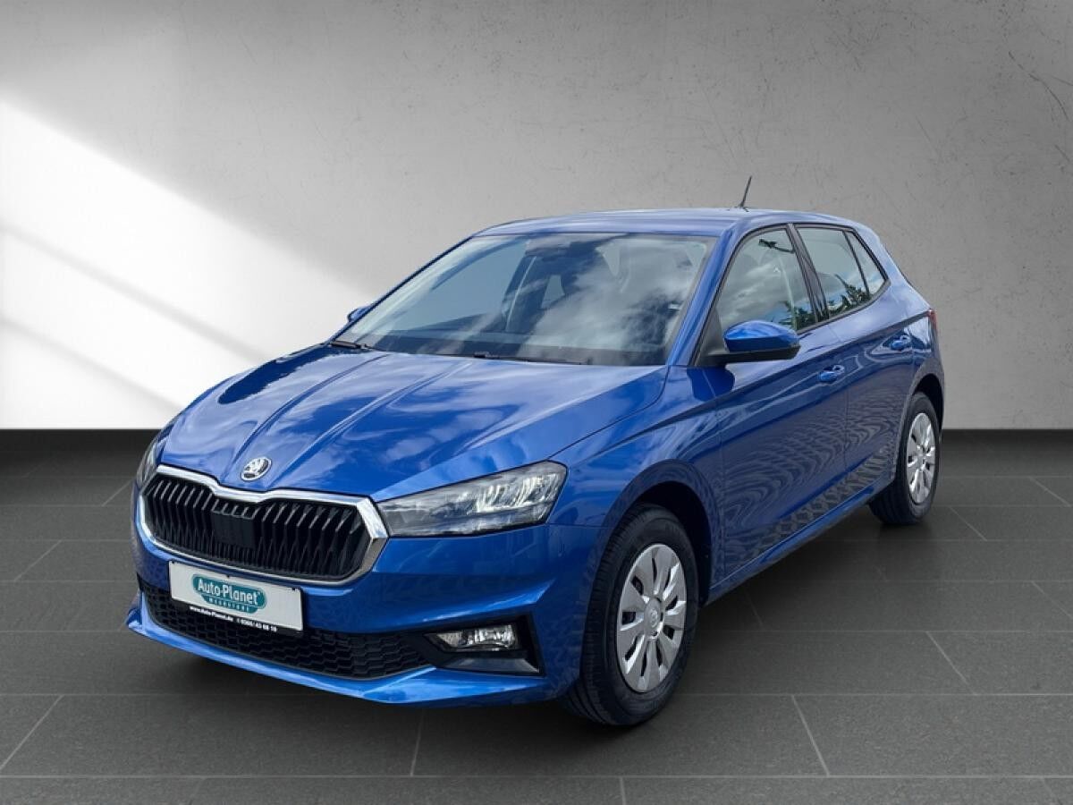 Skoda Fabia 1.0 TSI **PRIVAT**SOFORT** l DAB l LED l SHZ l PDChi l KLIMA l