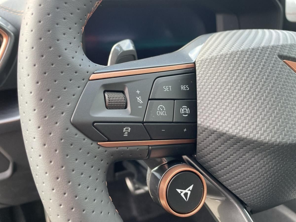 Cupra Formentor 2.0 TSI 7-Gang DSG 4Drive *LOYAL**Herbstaktion**sofort verfügbar*