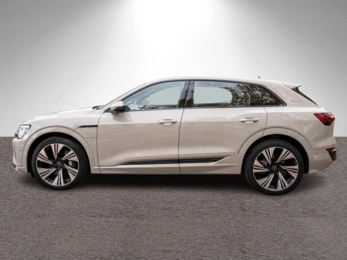 Audi Q8 50 e-tron S line quattr NAVI MATRIX UVP 99540 0,25% Versteuerung