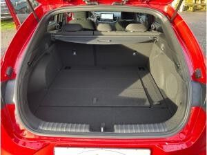 Kia ProCeed 1.5 T DCT GT-LINE TECHNIK-PAKET LEDERPAKET