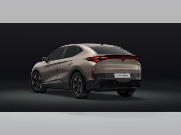 Cupra Tavascan *SONDERANGEBOT 269€ Brutto*