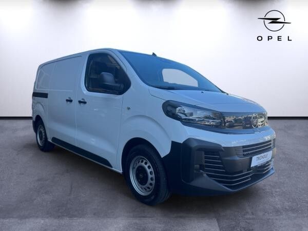 Opel Vivaro Kasten (L2) Diesel Automatik Flügeltüren