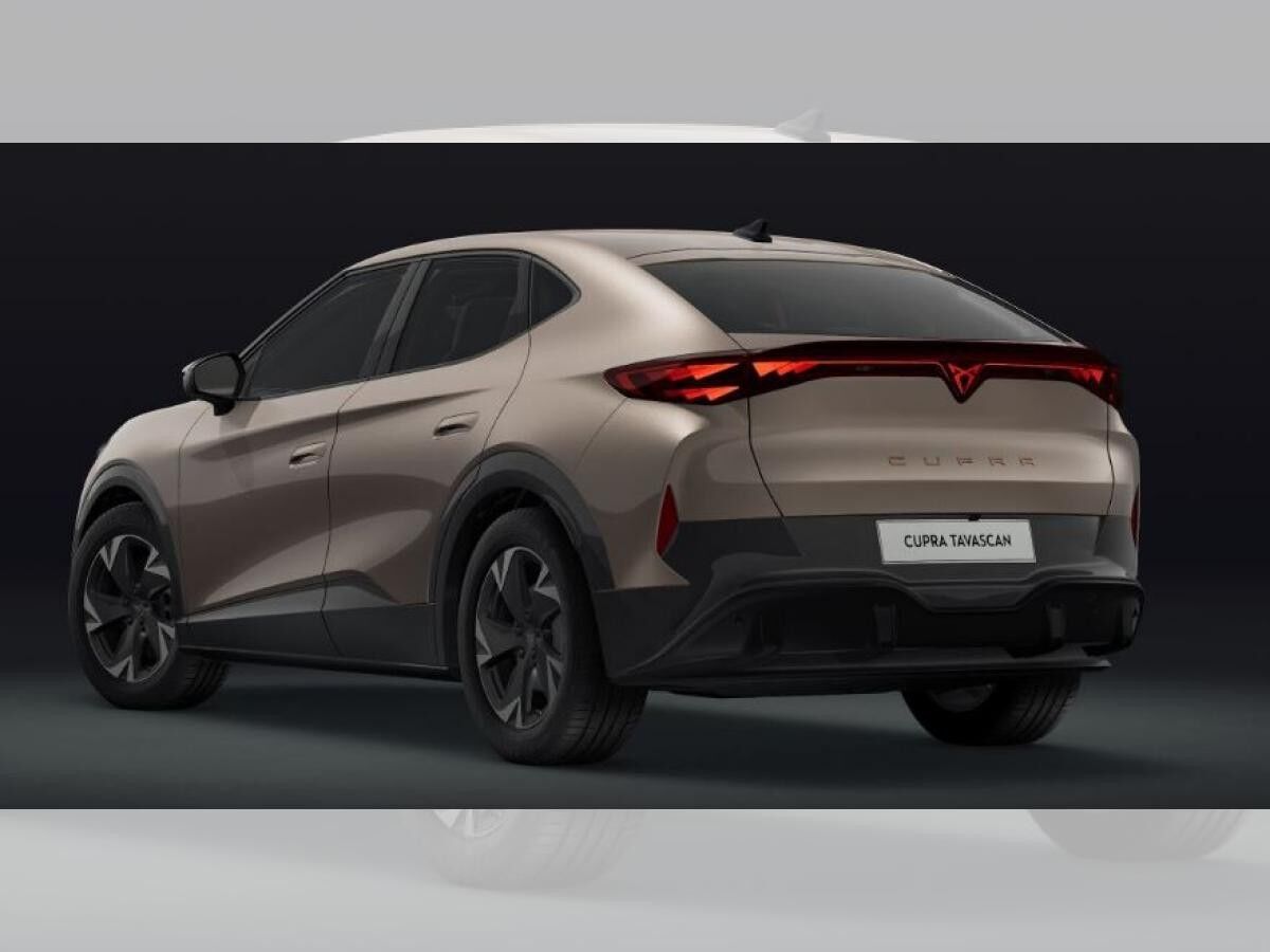 Cupra Tavascan Endurance