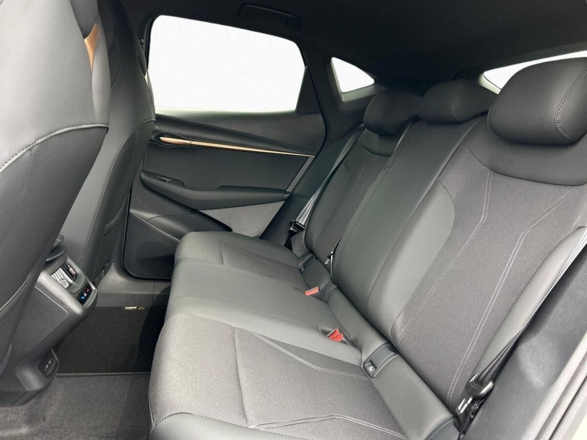 Cupra Tavascan Endurance h Drive Pack