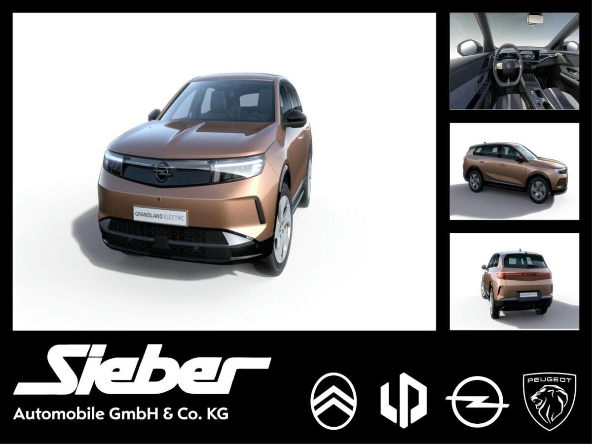 Opel Grandland Electric Edition h Batterie