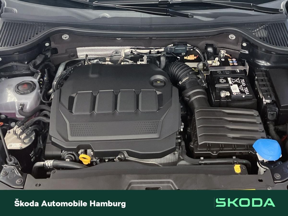 Skoda Karoq Sportline 2,0 TDI 7-Gang-DSG 4x4 _LGE