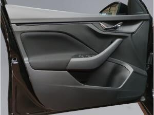 Skoda Kamiq Tour 1.0 TSI DSG NAVI AHK ACC LED