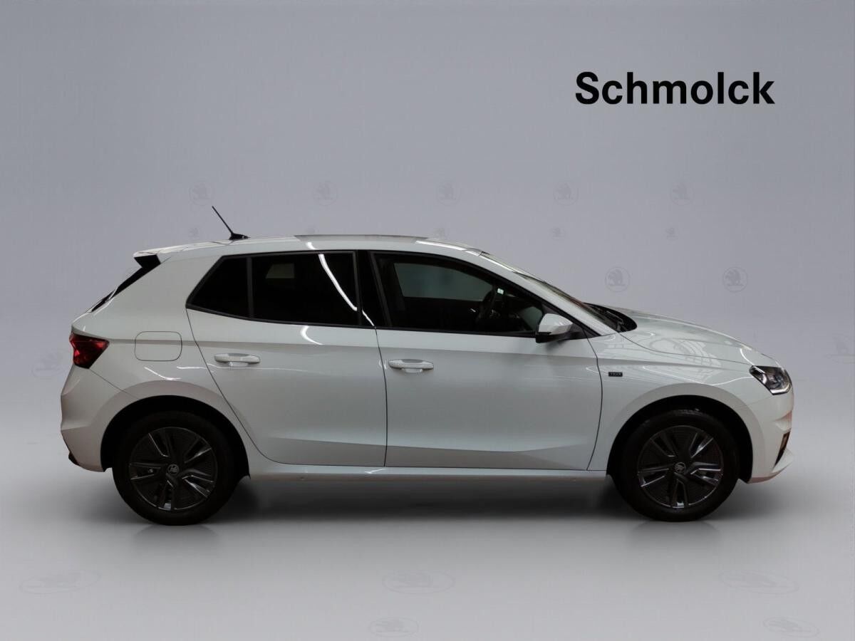 Skoda Fabia Tour 1.0 TSI DSG ACC DAB SHZ