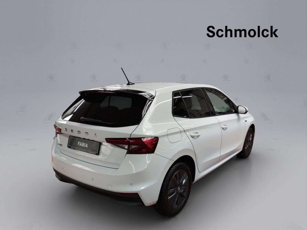 Skoda Fabia Tour 1.0 TSI DSG ACC DAB SHZ