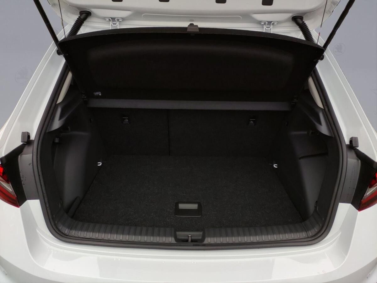 Skoda Fabia Tour 1.0 TSI DSG ACC DAB SHZ