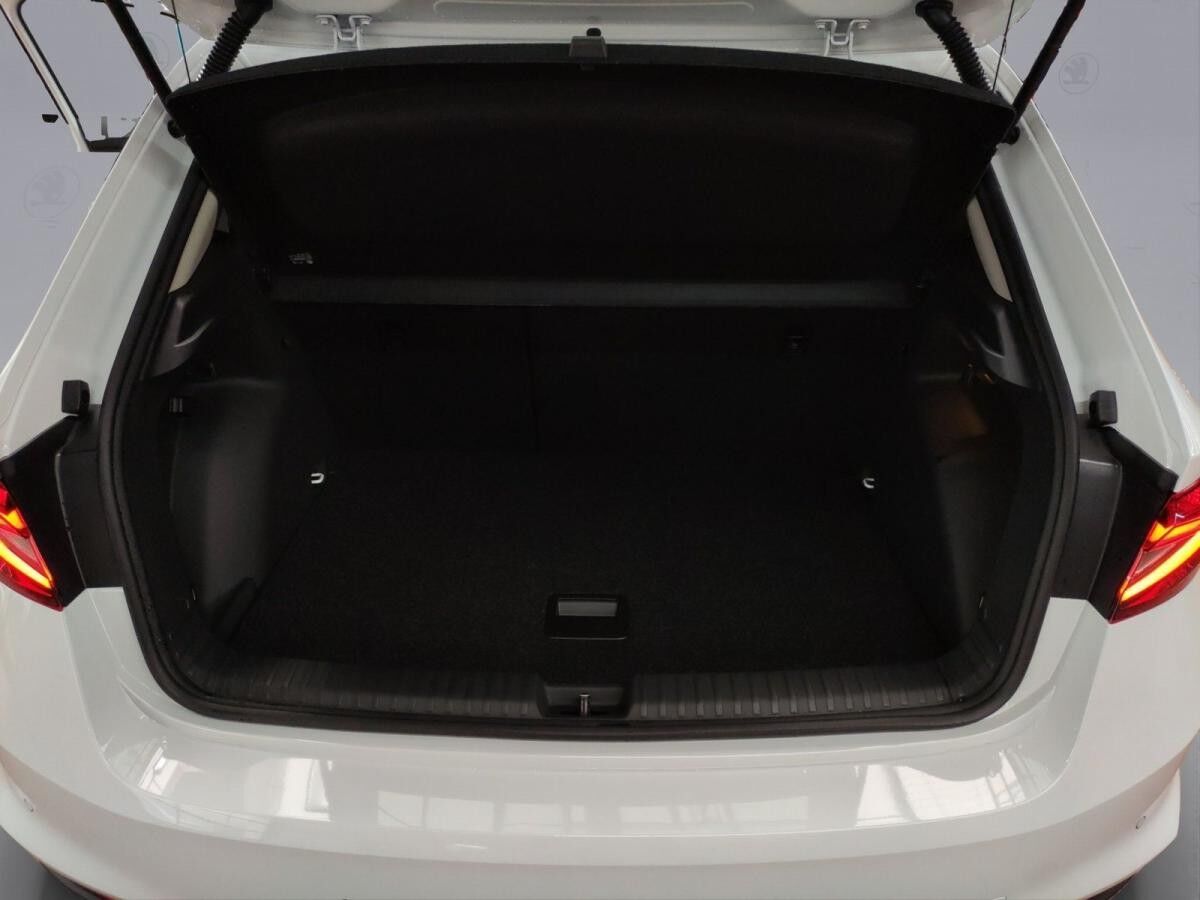 Skoda Fabia Tour 1.0 TSI DSG ACC DAB SHZ