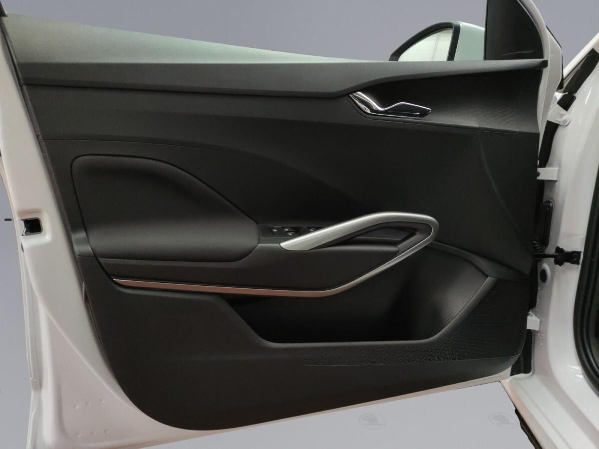 Skoda Fabia Tour 1.0 TSI DSG ACC DAB SHZ