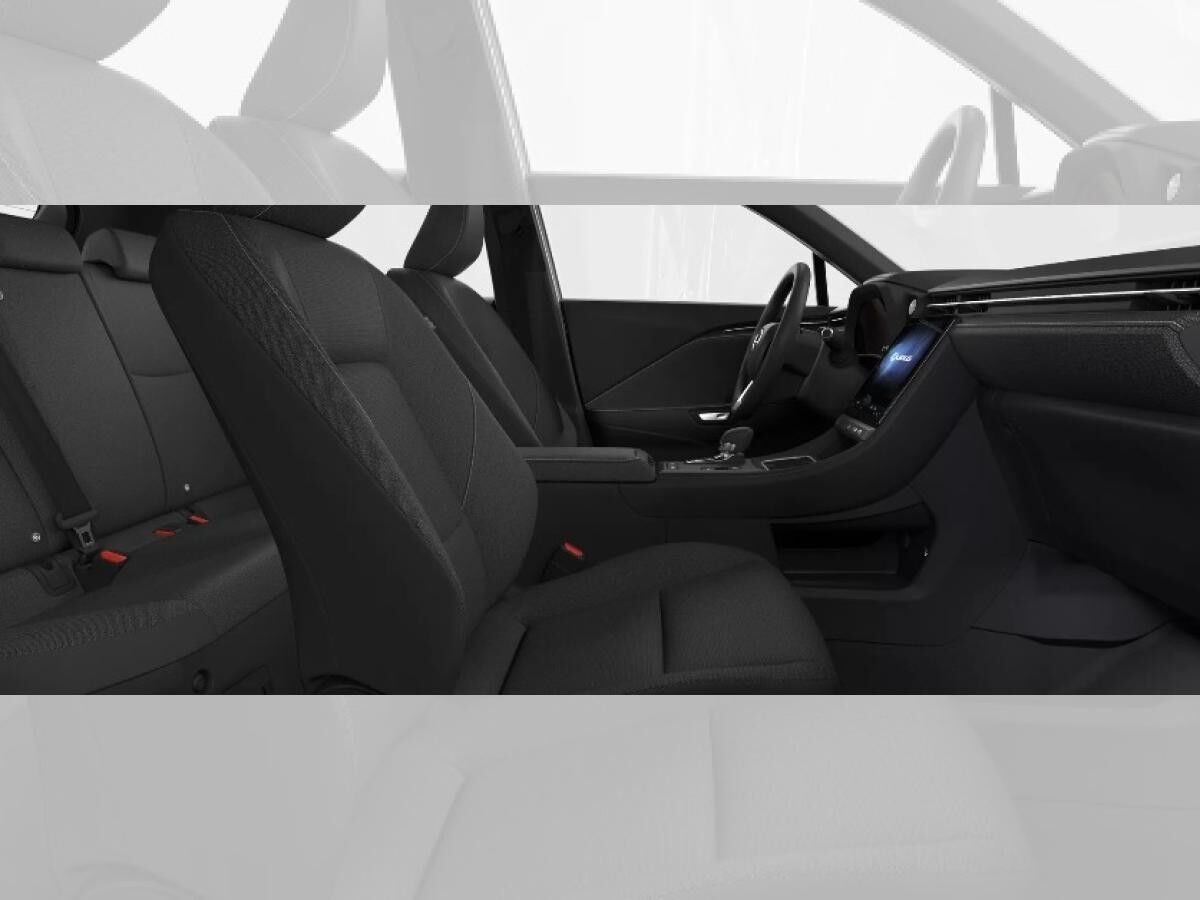 Lexus LBX Basis Komfort Paket & Metallic 279,- mtl.