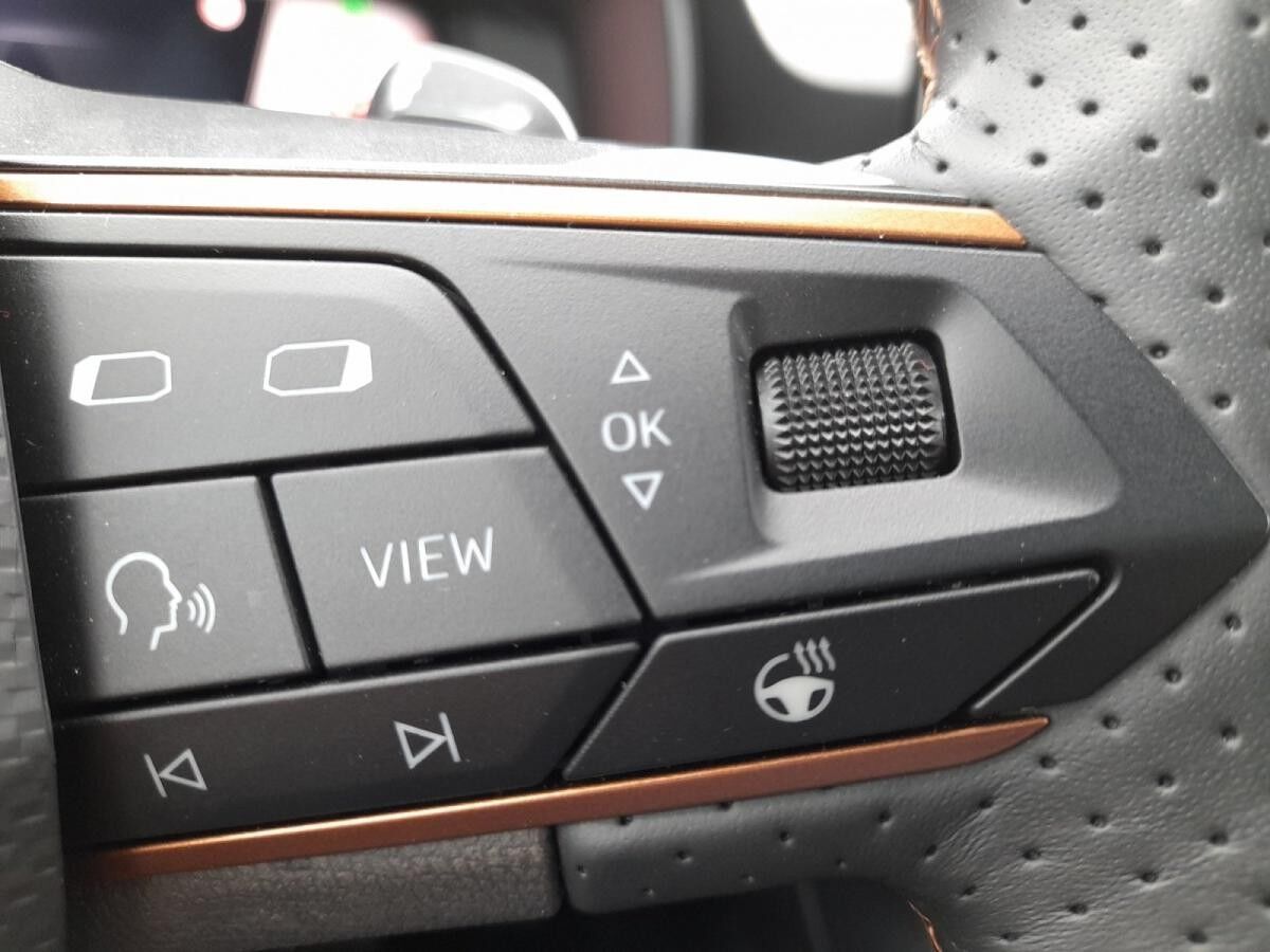 Cupra Formentor 2.0 TDI 4Drive RFK Navi el.Heck SHZ