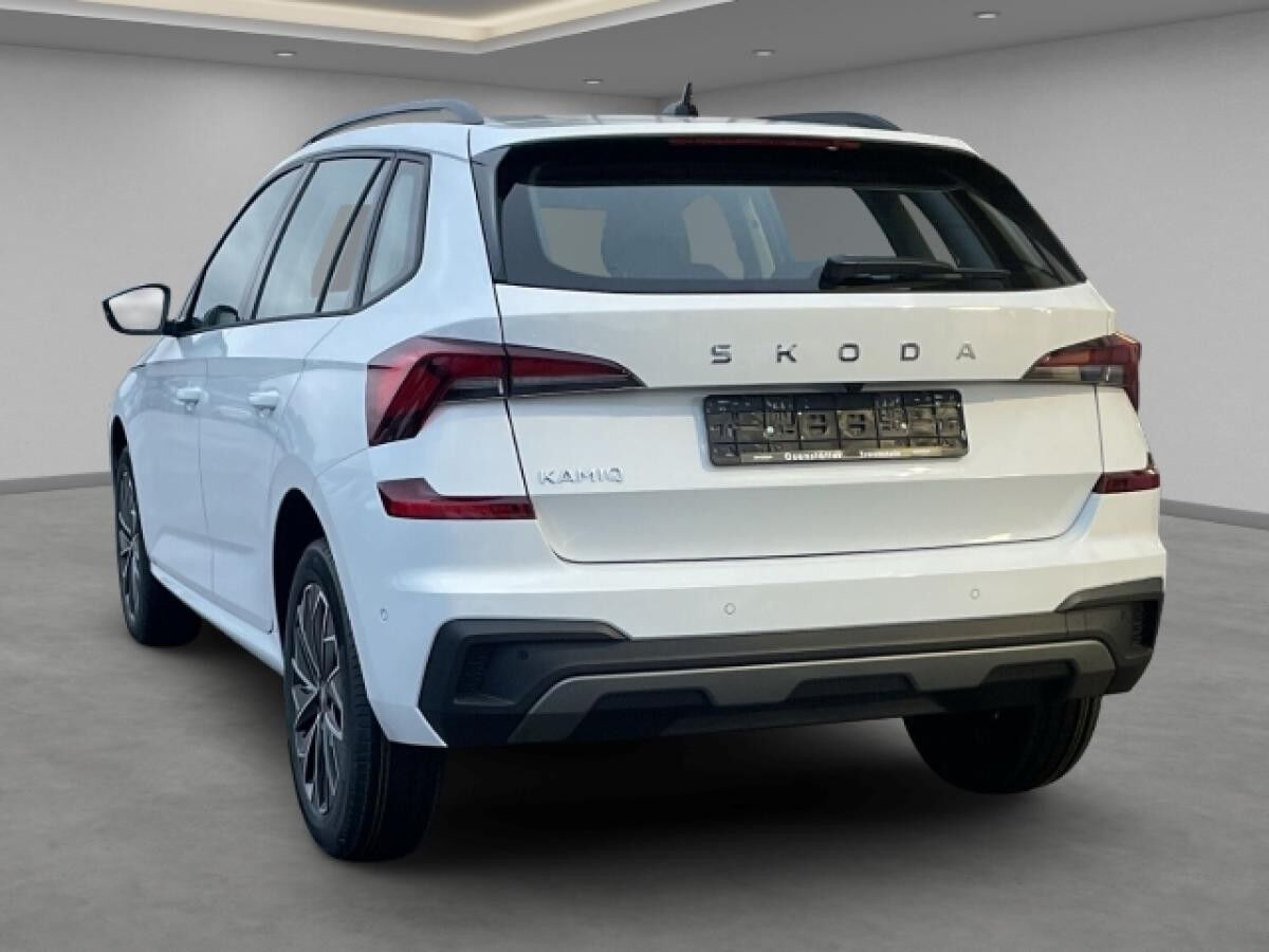 Skoda Kamiq Selection 1.5 TSI, Inkl. 1 Satz Winterreifen