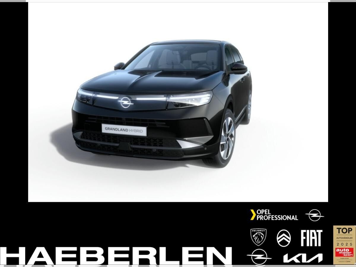Opel Grandland GS MHEV **Gewerbehammer**
