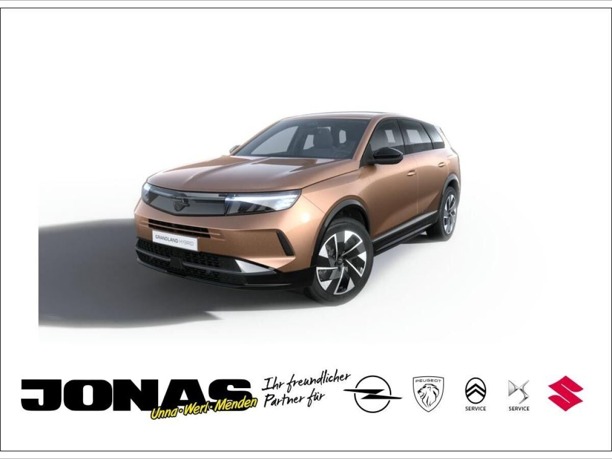 Opel Grandland Electric Long Range Edition Gewerbeangebot ab 199 € netto inkl. Allwetter NAVI AHK el. Heckklappe