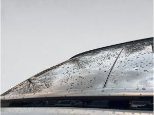 Hyundai TUCSON N-Line Automatik Pano Abstandstemp. LED