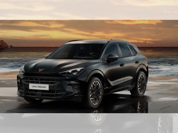 Cupra Terramar VZ 2.0 TSI 4Drive - 🔥TOP DEAL - Now or Never🔥(Düsseldorf)