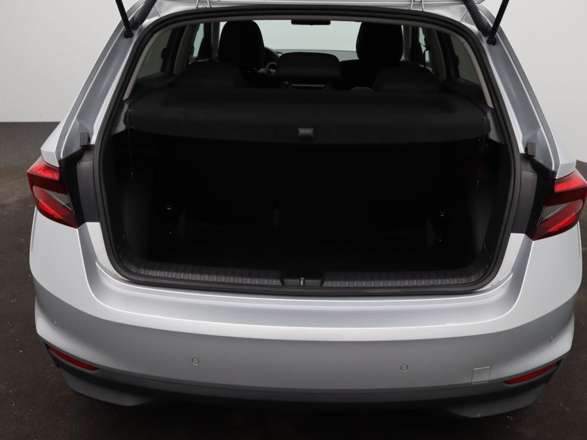 Skoda Fabia Active 1.0 TSI / LED, PDC, SHZ, SmartLink