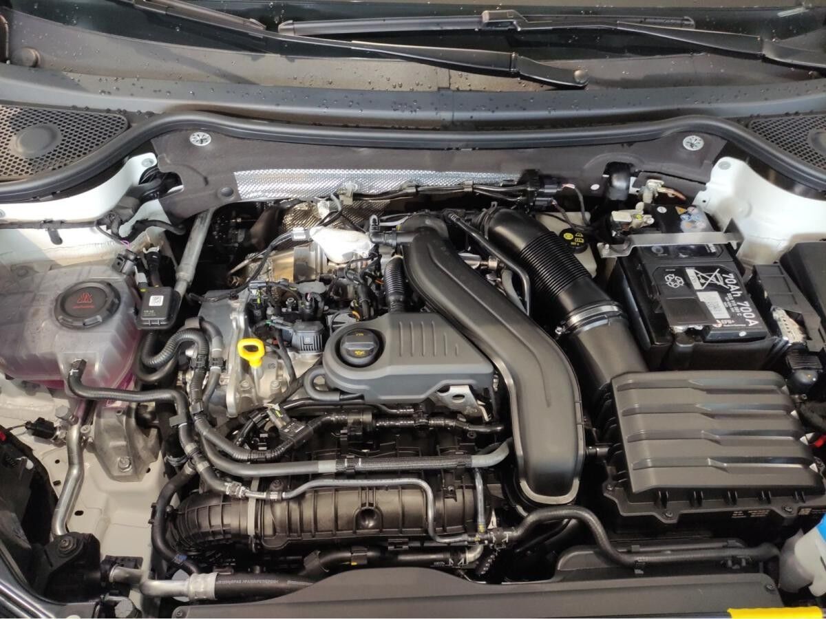 Cupra Ateca 1.5 TSI DSG AHK Fahrassistenzpaket