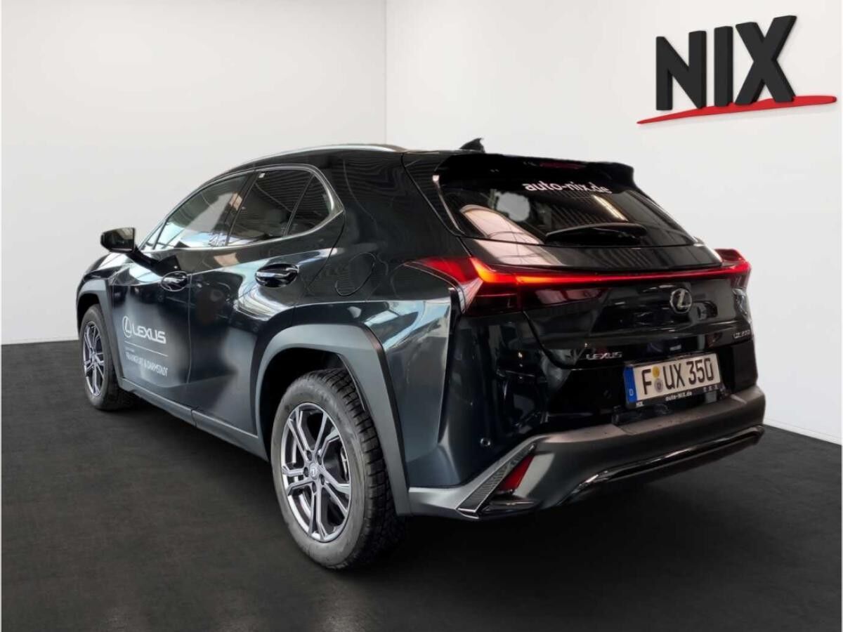 Lexus UX-300h F-Sport Design LED EINPARKHILFE Adapt.TEMPOMAT Lexus UX-300h F-Sport Design LED EINPARKHILFE Adapt.TEMPOMAT