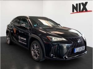 Lexus UX-300h F-Sport Design LED EINPARKHILFE Adapt.TEMPOMAT