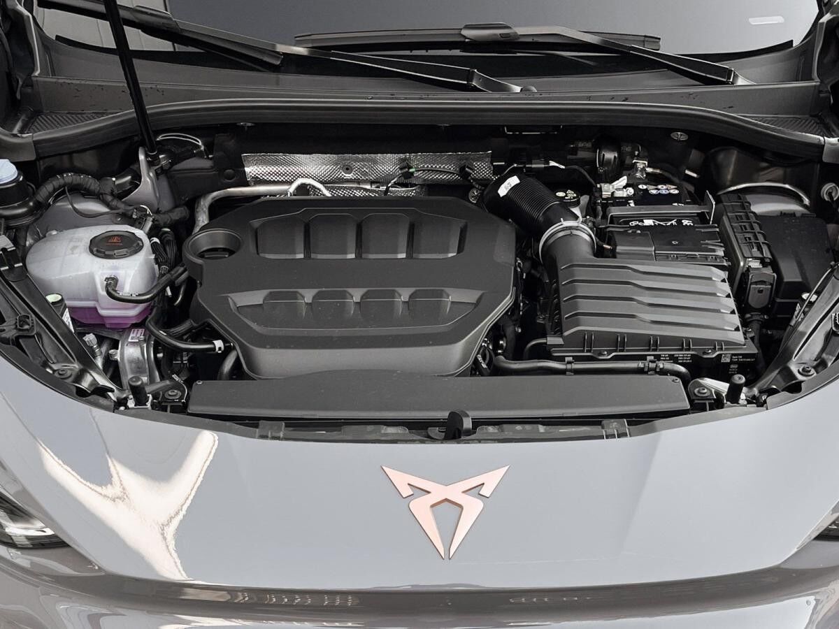 Cupra Terramar VZ 2.0 TSI 4Drive DSG Pano Matrix